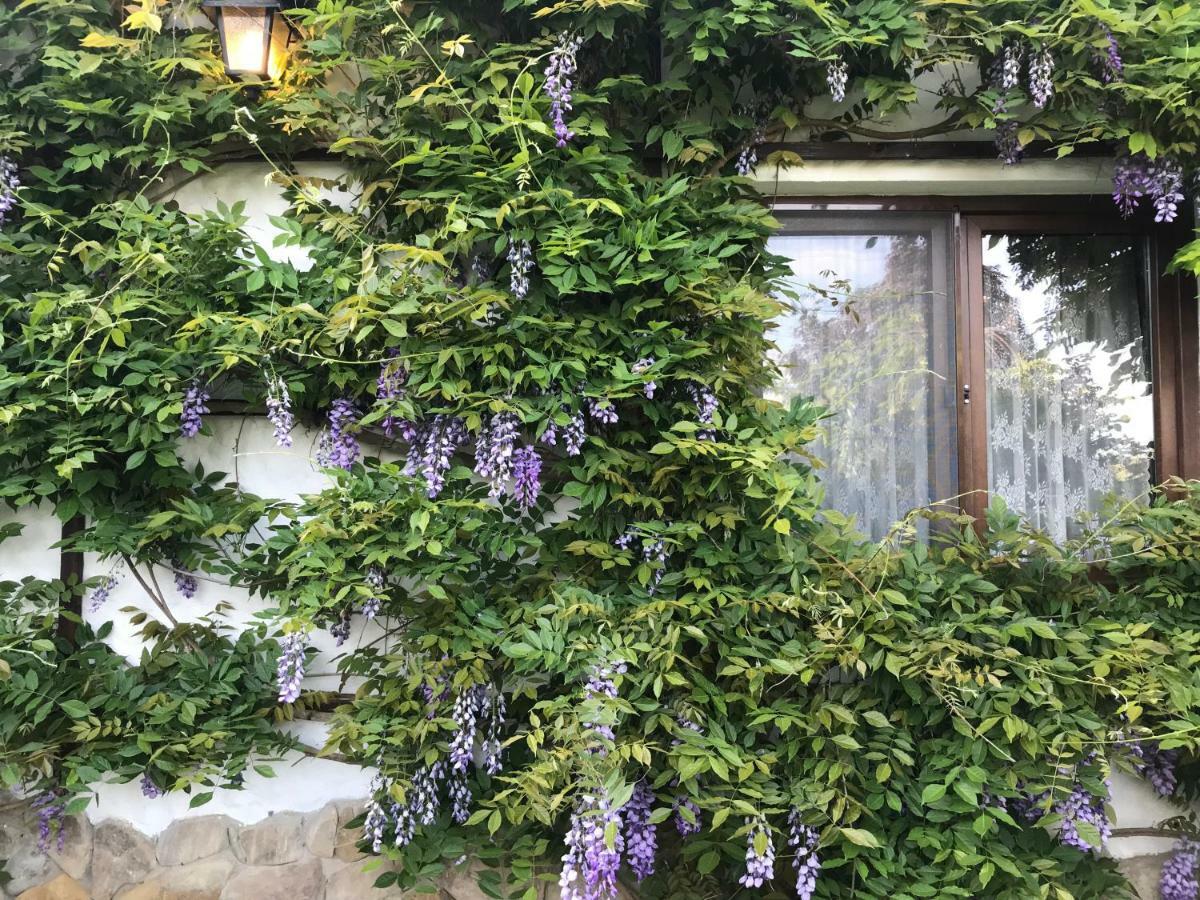 ホテル Casa Cu Suflet シギショアラ エクステリア 写真