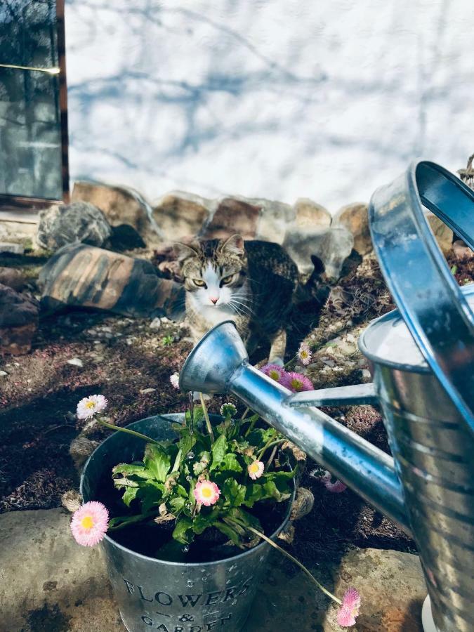 ホテル Casa Cu Suflet シギショアラ エクステリア 写真