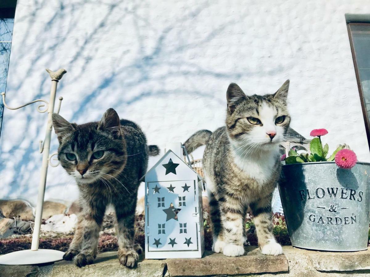 ホテル Casa Cu Suflet シギショアラ エクステリア 写真