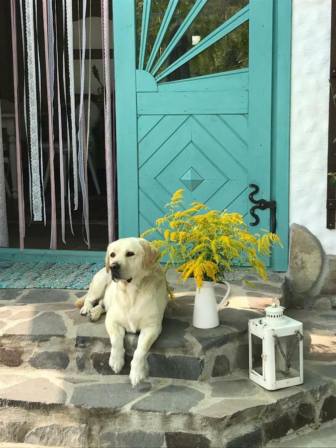 ホテル Casa Cu Suflet シギショアラ エクステリア 写真